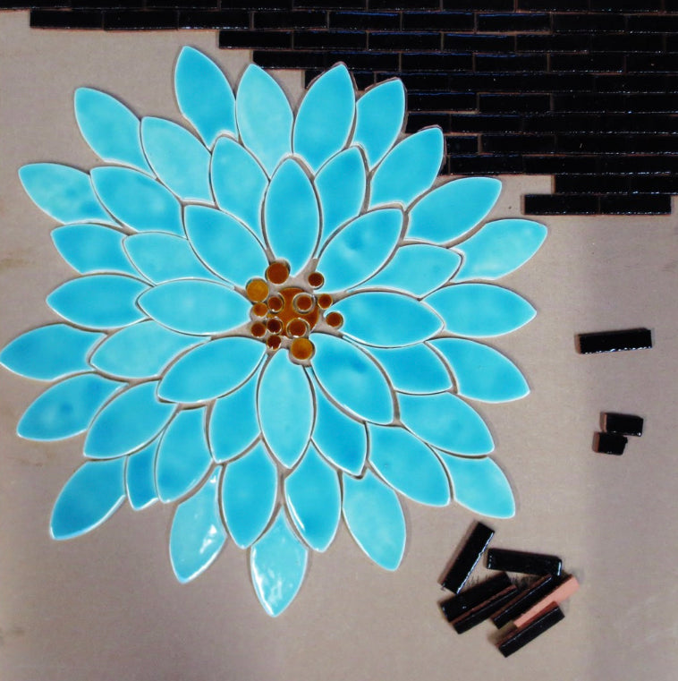 Z - Bloom